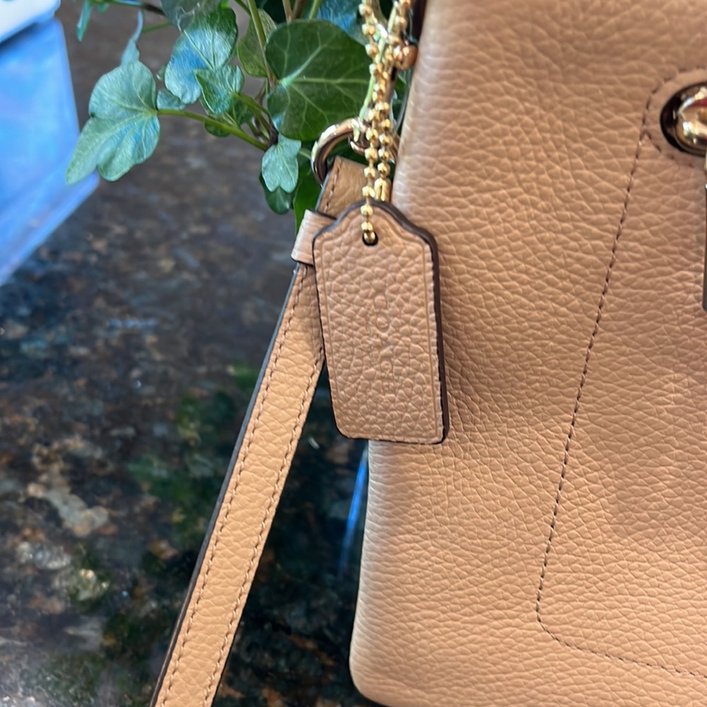 Coach XL wristlet pouch. NWTS golden beige Authentic - Picture 3 of 14